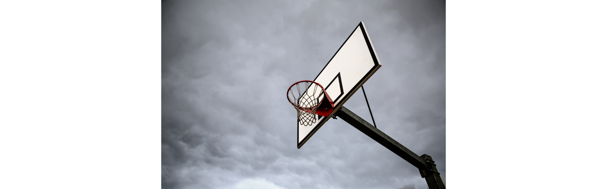 basketball net