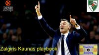 Thumbnail for Zalgiris Kaunas Playbook
