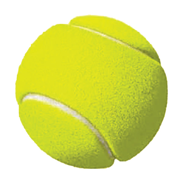 Tennis Net Set