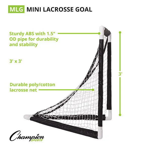 MINI LACROSSE GOAL HoopsKing