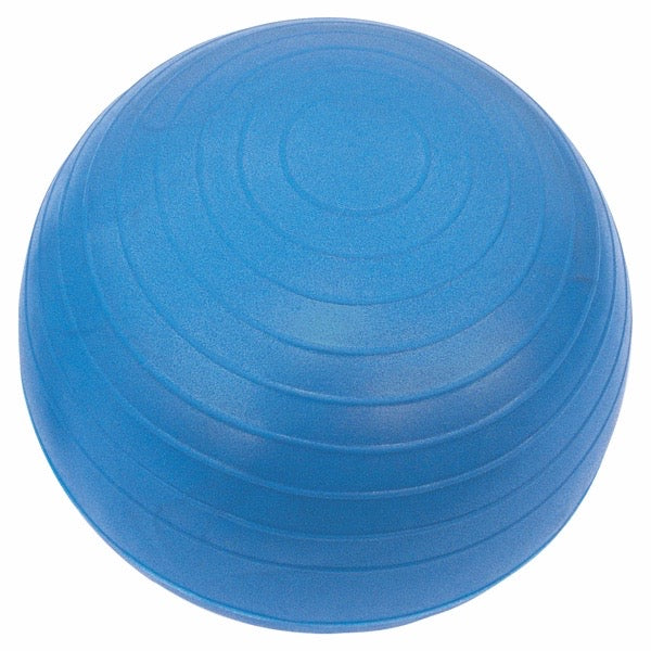 Fit Pro Ball Chair