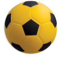 Thumbnail for Coated High-Density Foam Soccer Ball Champion Sports