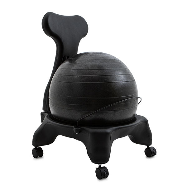 Fit Pro Ball Chair