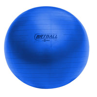 Thumbnail for FitPro BRT Training and Exercise Ball
