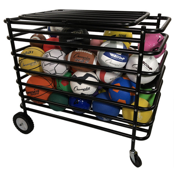 Ultimate Lockable  Ball Locker