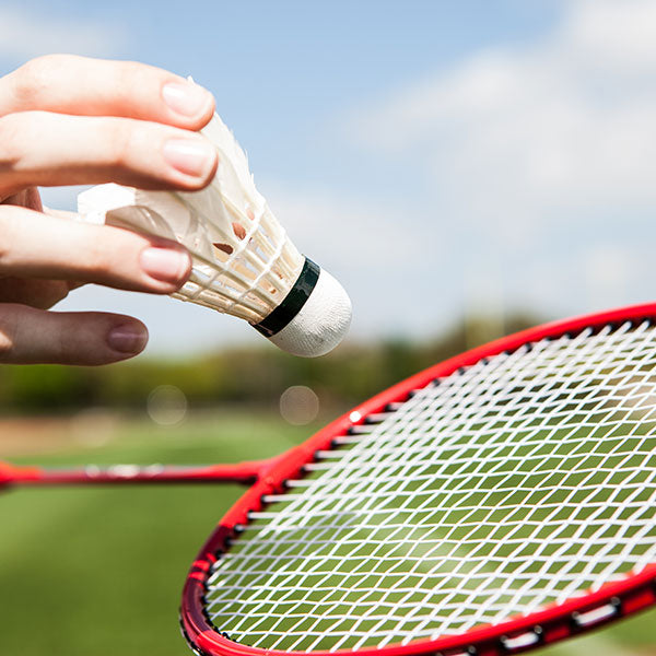 Tournament Series Volleyball/Badminton
