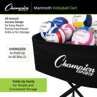 Thumbnail for Mammoth Volleyball Cart Champion Sports