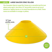 Thumbnail for Large Saucer Cone