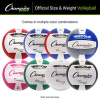 Thumbnail for Composite Volleyball, White HoopsKing