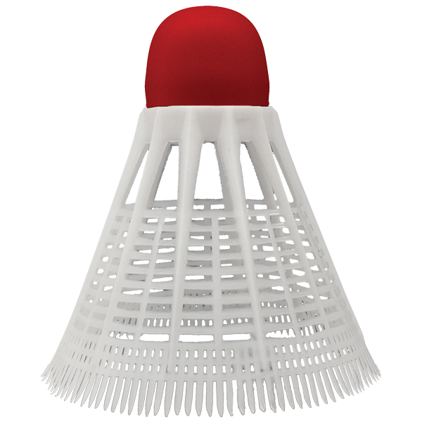 Deluxe Badminton Set