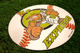 White round baseball mat with "AP Express" logo featuring a batter, on green grass.