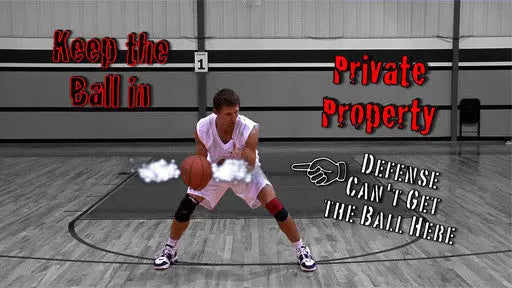 Ball Handling HoopsKing