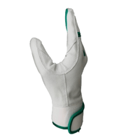 Thumbnail for Resilient Championship Fastpitch Batting gloves - White and Green