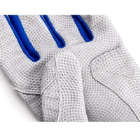 Thumbnail for Youth Fastpitch Batting Gloves - Grey and Royal Blue