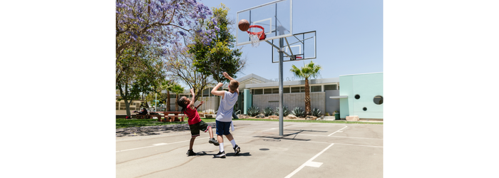 Basketball Sho
