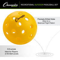 Thumbnail for Recreational Outdoor Pickleball Set