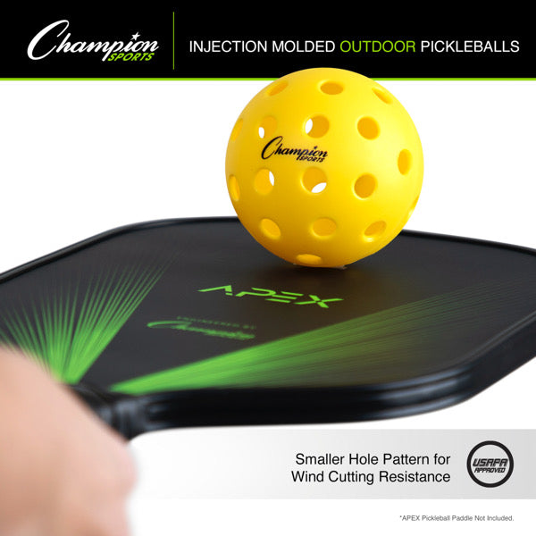 Injection Molded Outdoor Pickleball Set