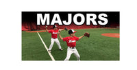 Thumbnail for Coaching Youth Baseball & Softball - Majors Course