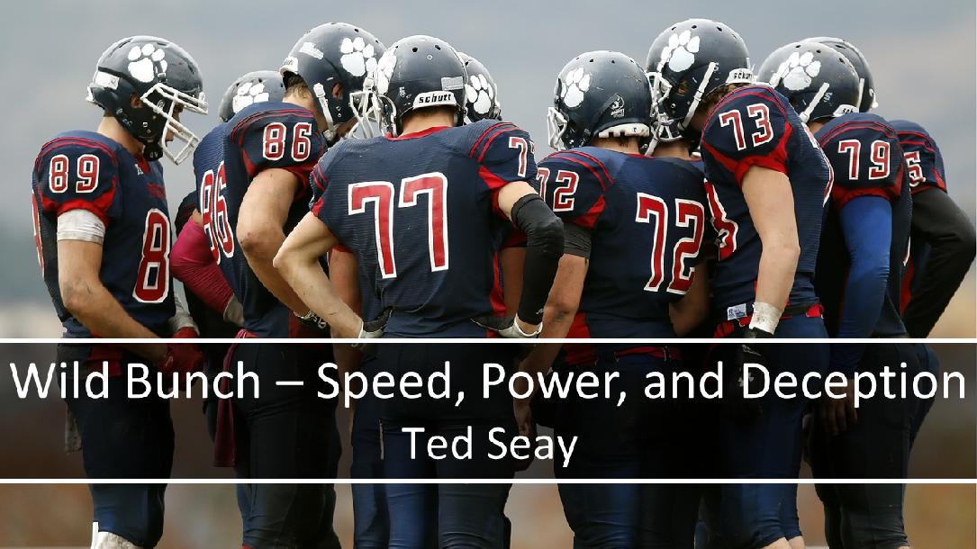 Wild Bunch - Speed, Power, and Deception in Youth Football