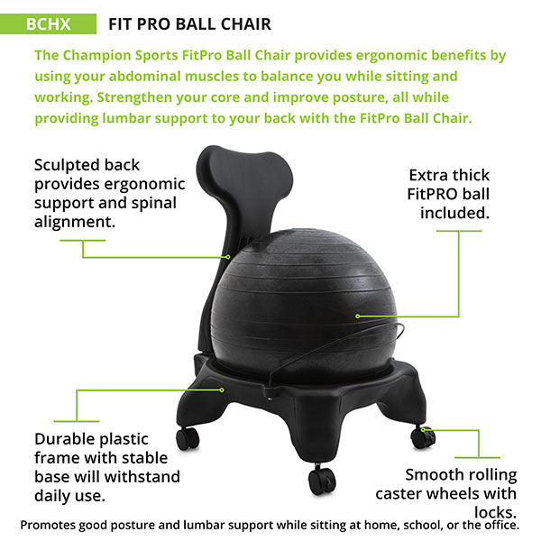 Fit Pro Ball Chair