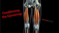 Thumbnail for Conditioning the Hamstrings