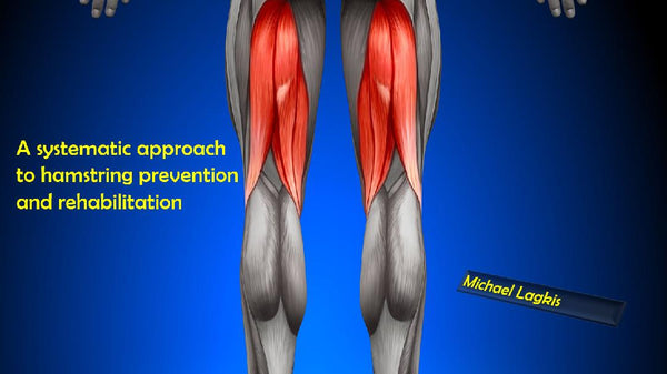 Anatomy Short Hamstring Muscles Knee Pain Hamstrings Too Tight
