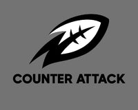 Thumbnail for Counter Attack Gap Scheme and RPO System