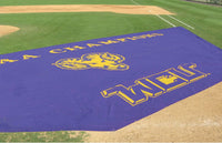 Thumbnail for The Oswego Panthers football field with a printed sideline tarp deployed