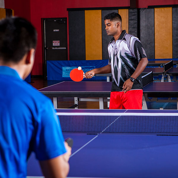 7 Ply Pips Out Rubber Face Table Tennis Paddle