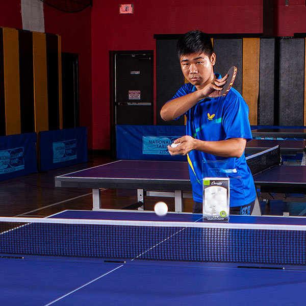 3-Star Tournament Table Tennis balls, 38