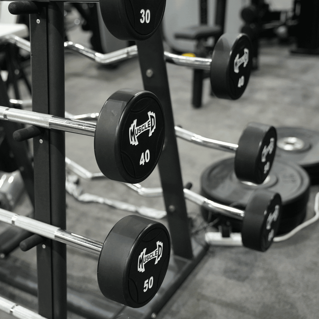 Black and white photo of barbells on a rack, with "MUSCLE" and weight numbers (30, 40, 50) visible.