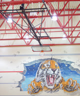 Ceiling-hung basketball backstop with a clear backboard and orange rim, above a tiger mural.