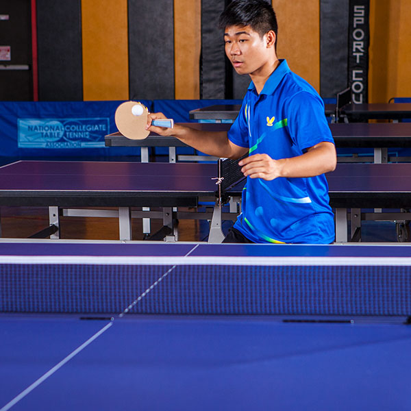 Sand Faced Table Tennis Paddle