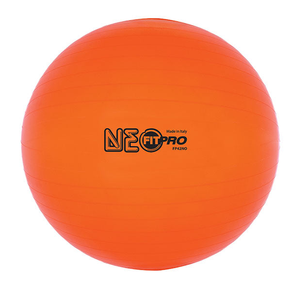 Fit Pro Training / Exercise Ball