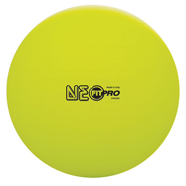 Fit Pro Training / Exercise Ball