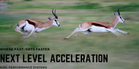 Thumbnail for Next Level Acceleration