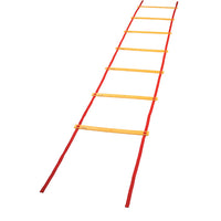 Thumbnail for Economy Agility Ladder