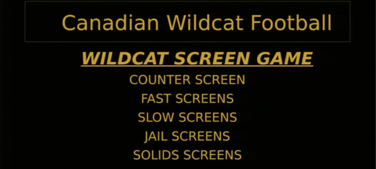Chris Koetting: Wildcat Screen Game