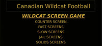 Thumbnail for Chris Koetting: Wildcat Screen Game