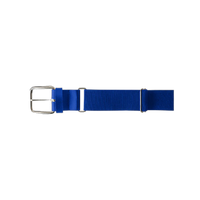 Thumbnail for MVP Belt