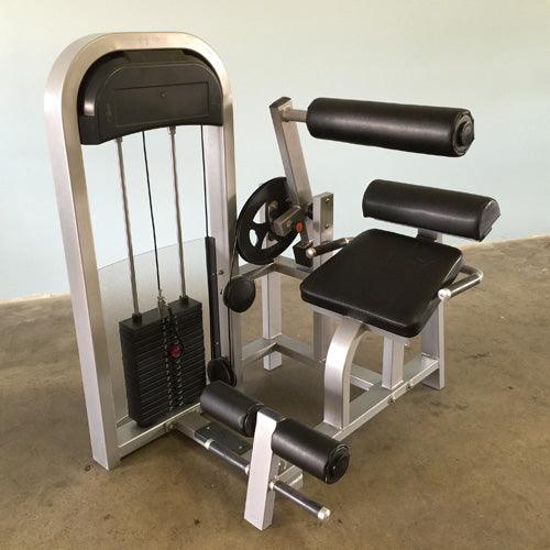 Silver and black back extension machine with pin selectorized weights.
