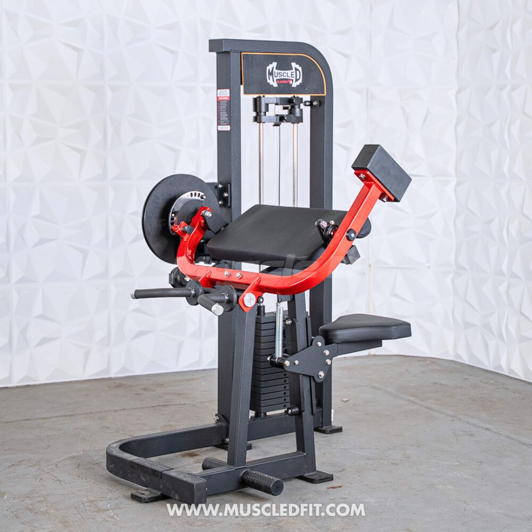 Black and red selectorized biceps/triceps combo gym machine with weight stack and padded seats.