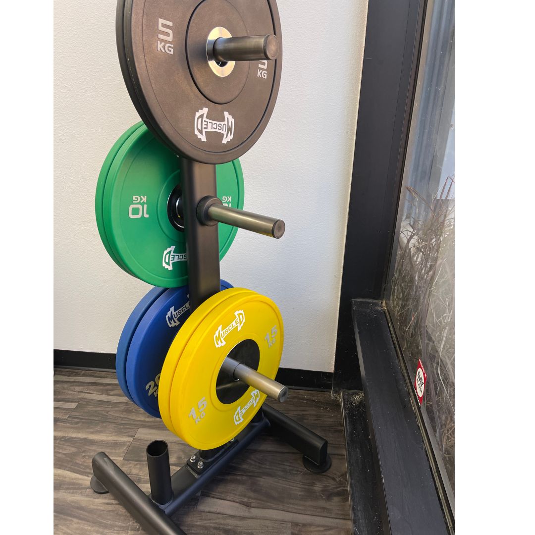Black, green, blue, and yellow bumper plates on a weight plate tree.