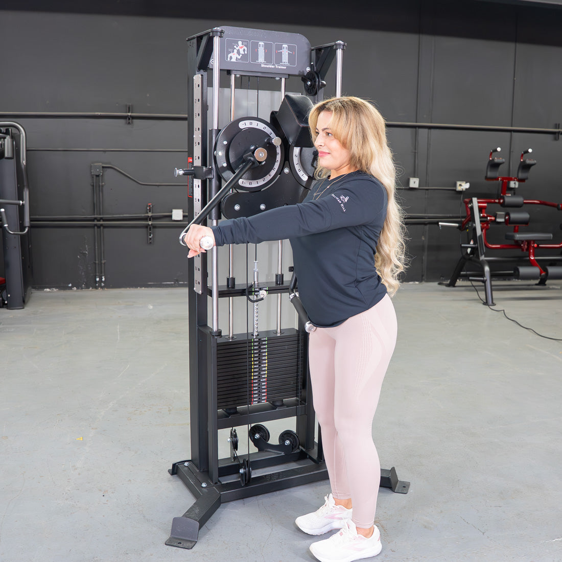 Flight Trainer Machine Excel Multi-Flight Trainer - Muscle D Fitness - Adjustable height - Se ...