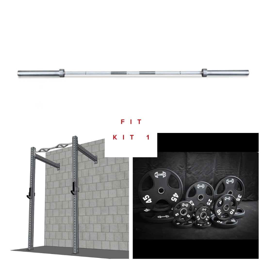 Wall-mount rig with multi-grip pull-up bar, J-hooks, barbell, and weight plates.