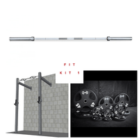 Thumbnail for Wall-mount rig with multi-grip pull-up bar, J-hooks, barbell, and weight plates.