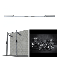Thumbnail for Wall-mounted rig with pull-up bar and J-hooks, barbell, and a set of weight plates.