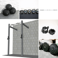 Thumbnail for Collage of a wall-mounted rig, medicine balls, kettlebells, barbell, weight plates, and barbell collars.