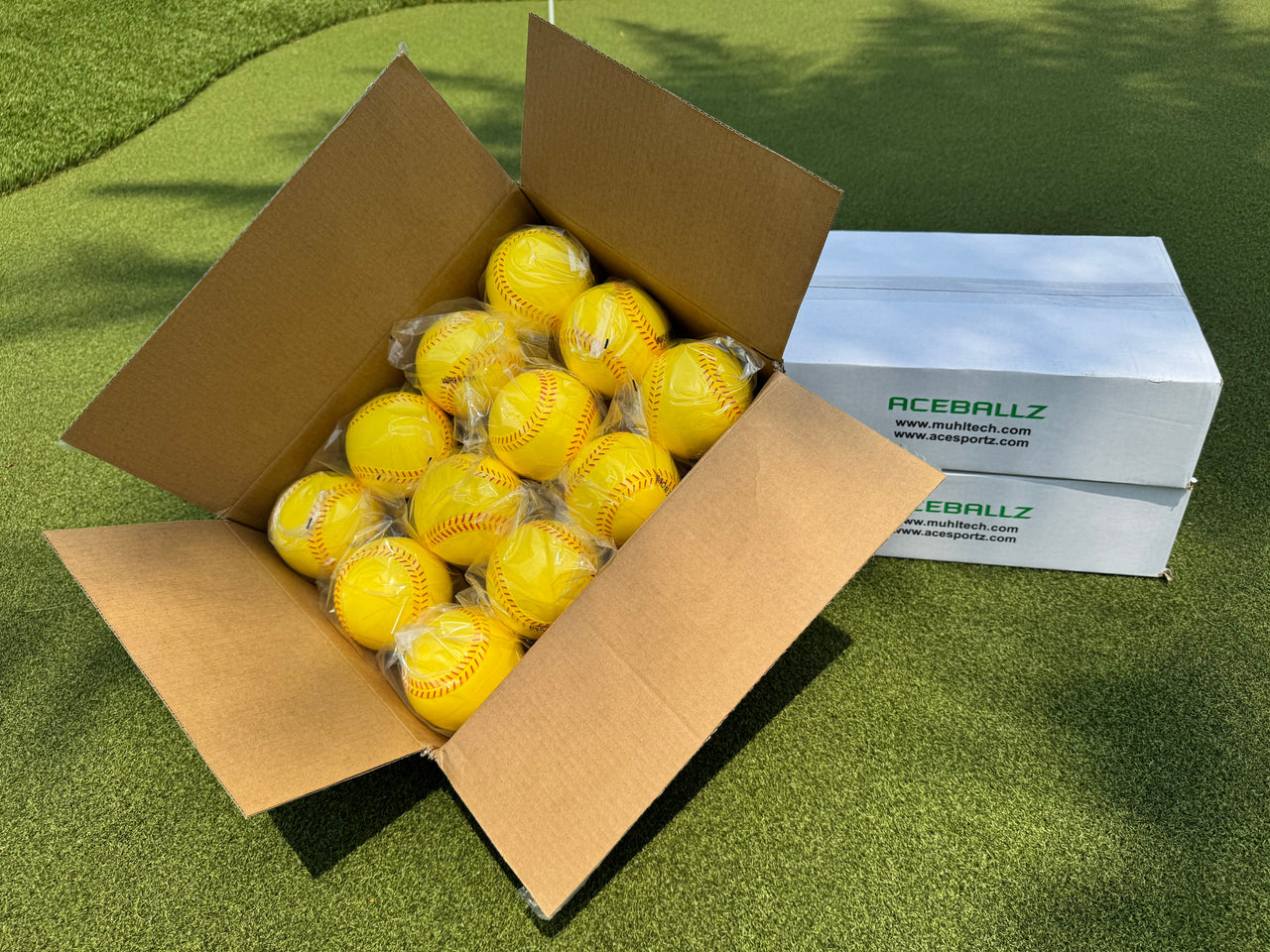 TRUFLIGHT ACEBALLZ Softball 12 Pack