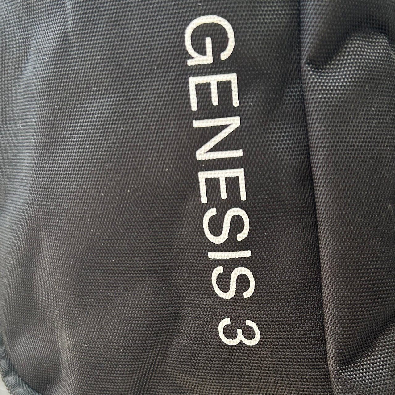 Genesis 3 2-stick bag